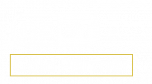 eset gold partner logo
